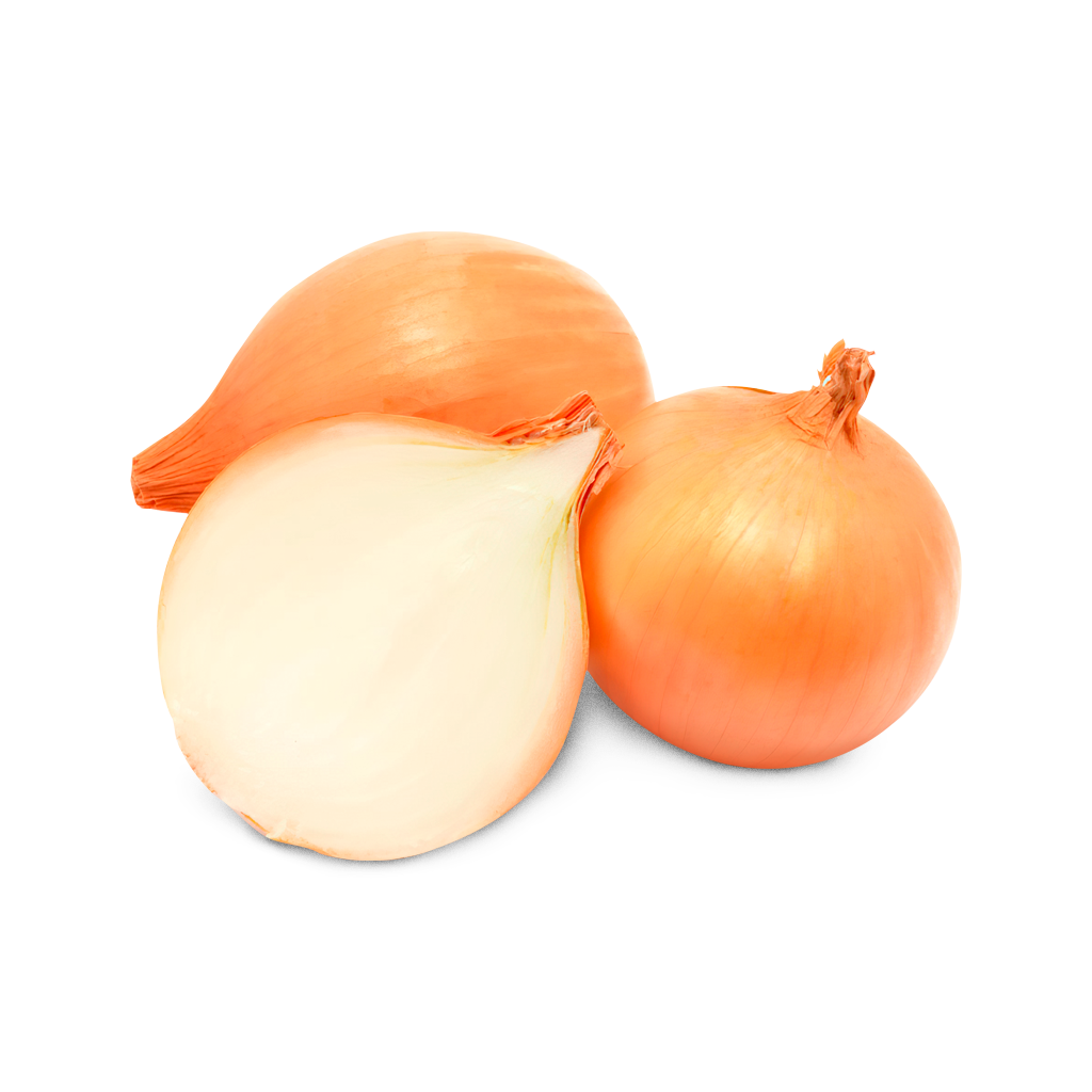 CEBOLA