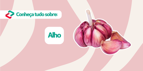 Conheça tudo sobre: Alho