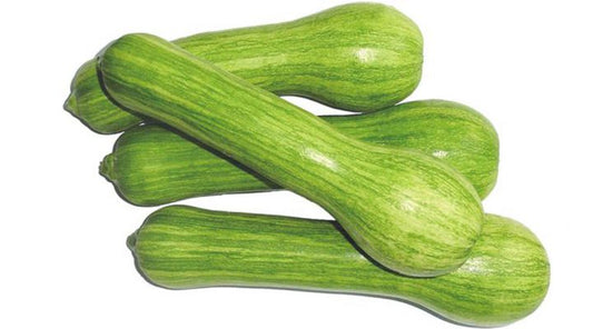 ABOBRINHA
