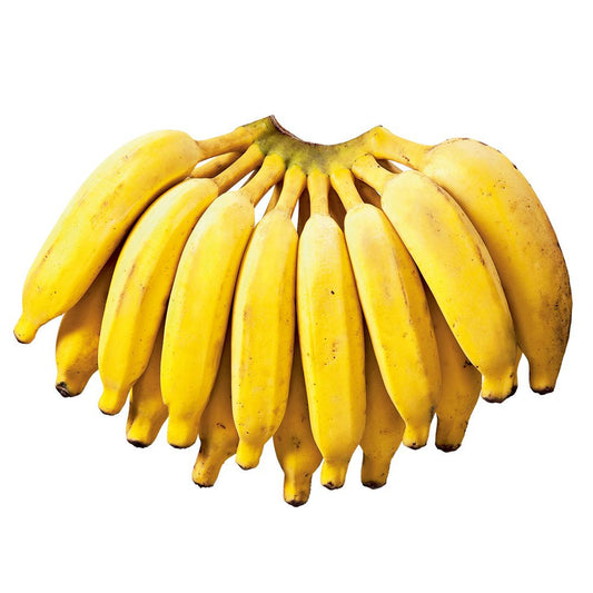 BANANA PRATA KG
