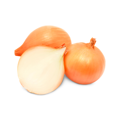 CEBOLA